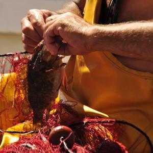 pesca artigianale all'asinara