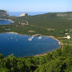 una veduta boschiva fronte mare