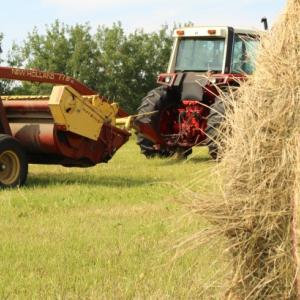 Agricoltura e bioraffineria