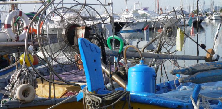 pesca ed economia blu